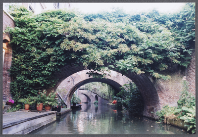 606449 Gezicht op de met klimplanten begroeide bruggen over de Kromme Nieuwegracht te Utrecht, vanuit een kano.